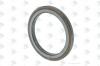 EURORICAMBI 81171567 Сальник редуктора 110,2x145x10/12  FPM вал CURSOR Volvo Bus; F/FL 6, F/FE/FL/FM 7; FH/FM/NH 9/10/13/