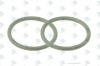 EURORICAMBI 88531111 Кольцо уплотнительное фланца выходного КПП Volvo VT2014/2514