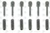 EURORICAMBI 95531281 Ремкомплект (ZF 1295 298 956) ER