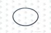 EURORICAMBI 95531699 Кольцо уплотнительное цилиндра КПП ZF 16S151/181/221/1820/2220