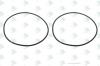 EURORICAMBI 95531924 Кольцо уплотнительное 113X3, ZF 0634313100