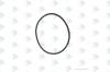 EURORICAMBI 95532574 Кольцо насоса ГУР 79.5*3 mm