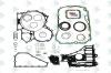EURORICAMBI 95532577 К-т прокладок КПП  ZF New Ecosplit III