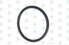 EURORICAMBI 95534396 Кольцо уплотнительное 37,85X3