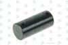 EURORICAMBI 95534894 EU95534894_палец опорный! КПП /ZF 9S1110 TD