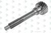 EURORICAMBI 95535163 EU95535163_вал КПП! вxодной Z=19 \ZF 6S-850