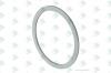 EURORICAMBI 95535524 Компенсационная шайба 87X102,7X2,8-CK60-