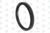 EURORICAMBI 95535684 Сальник 105X125X12/16, ZF 0734300421