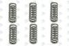 EURORICAMBI 95570628 Пружина синхронизатора, ZF 0732041571