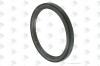 EURORICAMBI 95531564 Сальник 95x115x10 ZF (0734 319 439, MAN 81.96502.0935) ER