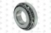 EURORICAMBI 98170154 подшипник роликовый дифференциала 65x140x36 // MB HL7/07-015 DL10-11.5