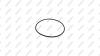 KACMAZLAR K1004528 Кольцо уплотнительное (99,5X3mm)