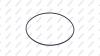 KACMAZLAR K2106635 K21.06635_кольцо уплотнительное! (р) КПП 138x3mm /MB Actros, Axor