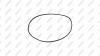 KACMAZLAR K2600194 Кольцо уплотнительное КПП 255X5mm