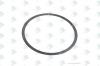 EURORICAMBI 60531327 кольцо КПП T 0.40 mm //MB