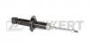 ZEKKERT SG2654 Амортизатор Subaru Legacy (BE, BH) 98- передний Zekkert газовый