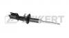 ZEKKERT SG4896 Амортизатор Kia Rio (DC) 02-05 переддний Zekkert газовый левый