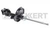 ZEKKERT SG5086 Амортизатор Kia Rio II (JB) 05-11; Hyundai Verna 06-, Accent 05- передний Zekkert газовый левый