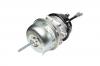 KNORR BREMSE K031739N00 Энергоаккумулятор комбинированный