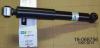 BILSTEIN 19-068756 19-068756 (BNE-6875) Амортизатор Bilstein