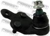FEBEST 0120ACV40L 0120-ACV40L_опора шаров.нижн.лев./ Toyota Camry ACV40/GSV40 06]
