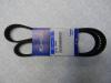 HYUNDAI / KIA (MOBIS) 24312-38020 Ремень ГРМ