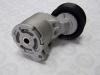 CHERY A118111200CA КРОНШТЕЙН НАТЯЖНОГО МЕХАНИЗМА РЕМНЯ ДВС (A21)