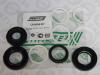 EMMETEC CR 9008 KIT Ремкомплект CHEVROLET Captiva 2006-, OPEL ANTARA 2007-