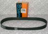 DAYCO 8PK800HD Поликлиновой ремень