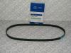 HYUNDAI / KIA (MOBIS) 25212-22030 Ремень генератора