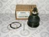 FEBEST 0320CL7UP ОПОРА ШАРОВАЯ ПЕРЕДНЕГО ВЕРХНЕГО РЫЧАГА (HONDA ACCORD CF3/CF4/CF5/CL1/CL3 1998-2002 HONDA ACCORD CL/