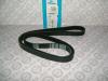 DAYCO 6PK1600 Поликлиновой ремень