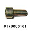 SSANGYONG 9170808181 Болт корзины сцепления