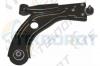 TEKNOROT P678 Рычаг подвески