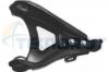 TEKNOROT R525 Рычаг перед. R