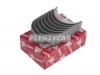 TAIHO R720A1-025 Вкладыши шатунные Toyota 1KZ/1KD/2KD Taiho (=R720A-025)
