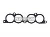 STONE JB1248013EF Прокладка впускного коллектора TOYOTA HILUX/SURF/PRADO 3RZ-FE 95-