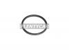 STONE JG18559F Прокладка термостата TOYOTA 1/3UZ-FE 98-