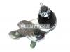 SAT ST4333029405 Шаровая нижняя FR TOYOTA ALPHARD/CAMRY/ESTIMA/HARRIER/KLUGER/SIENNA/WINDOM/LEXUS ES/RX3#0 01- RH