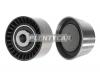 SAT STMN982127 Ролик обводной ремня ГРМ CITROEN/FORD/MMC/PEUGEOT 2,0/2,2D