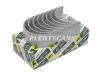 NDC CB1631GP025 Вкладыши шатунные