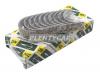 NDC MS1415A025 Вкладыши NDC MS1415A 025 0.25 TOYOTA 1E/2E/4E