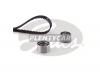 GATES K015555XS Комплект ГРМ Hyundai/Kia 2.5i/2.7i V6 98&gt; Z=207x32