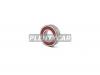 NACHI 60032NSE9C3 Подшипник 17/35/10, шариковый