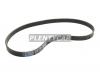 MITSUBOSHI 6PK1045 Ремень поликлиновой 6PK1045 Mitsuboshi