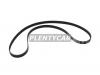 MITSUBOSHI 6PK1795 Ремень полуклиновой RENAULT Laguna 07- 2.0