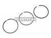 KOLBENSCHMIDT 800017810000 Кольца dm.89.00 STD [2.5-2-3] 1 ПОР.