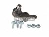 MOOG FDBJ12509 Опора шаровая L