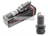 BRISK P221922 Свеча зажигания AUDI A1/A3/A4/A5/A6/Q3/Q5/VW GOLF/JETTA/PASSAT/TIGUAN