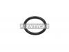 STONE JF-36636 Oil Seals